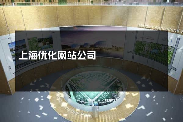 上海优化网站公司