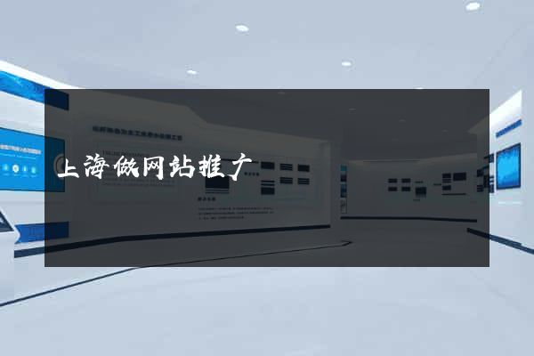 上海做网站推广