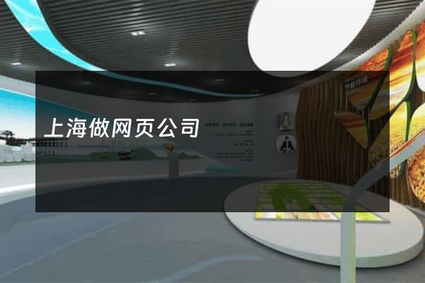 上海做网页公司