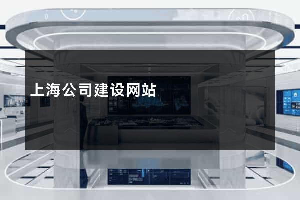 上海公司建设网站