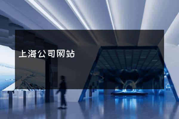 上海公司网站