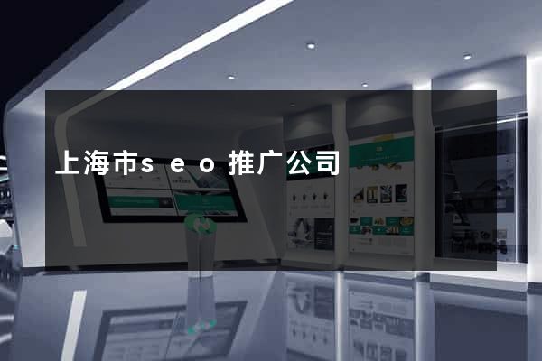 上海市seo推广公司