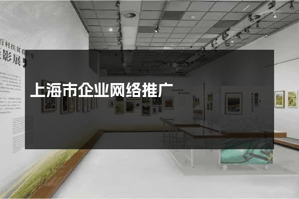 上海市企业网络推广