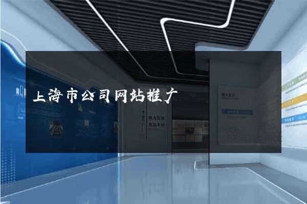上海市公司网站推广