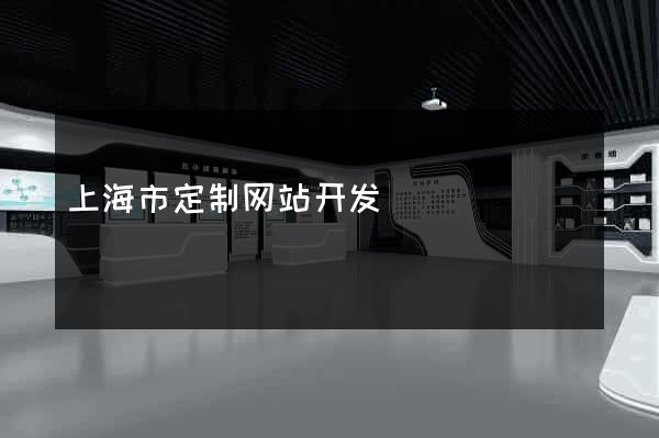 上海市定制网站开发