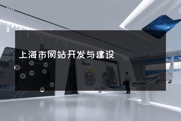上海市网站开发与建设