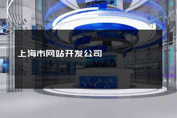 上海市网站开发公司