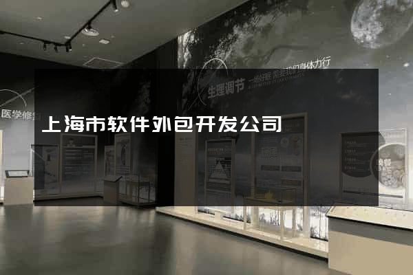 上海市软件外包开发公司