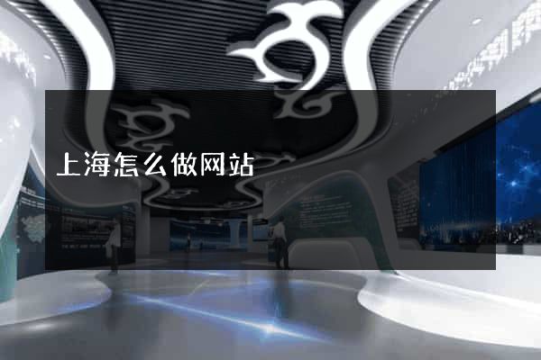 上海怎么做网站