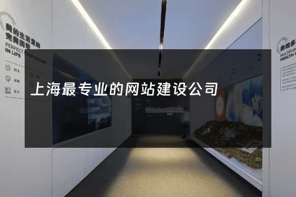 上海最专业的网站建设公司