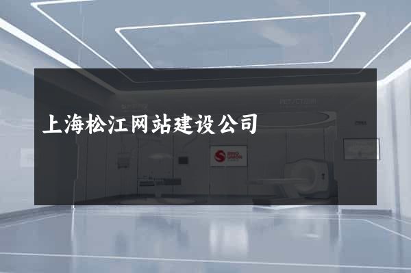 上海松江网站建设公司