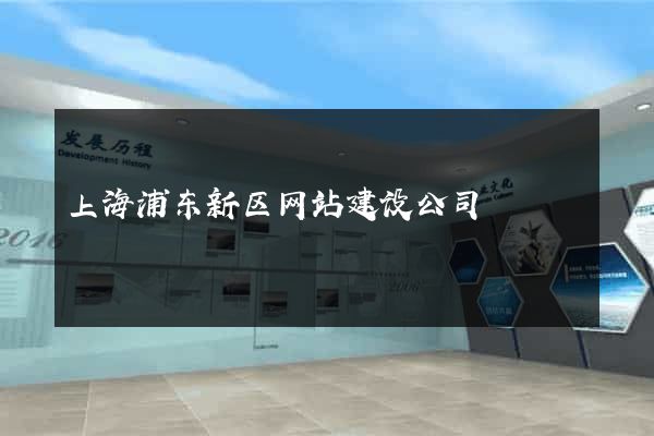 上海浦东新区网站建设公司