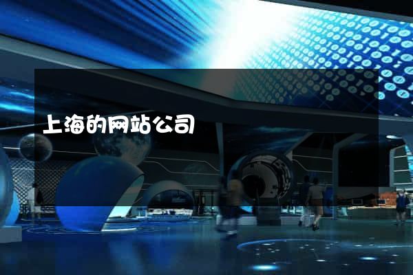 上海的网站公司