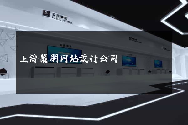 上海策朋网站设计公司