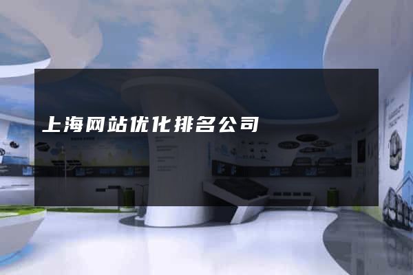 上海网站优化排名公司