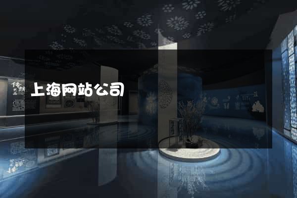 上海网站公司