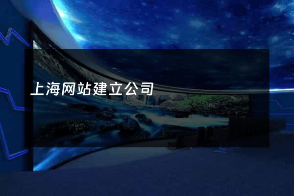 上海网站建立公司