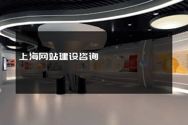 上海网站建设咨询