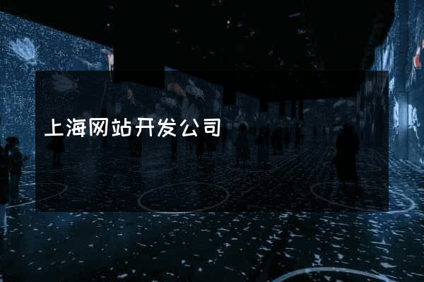 上海网站开发公司