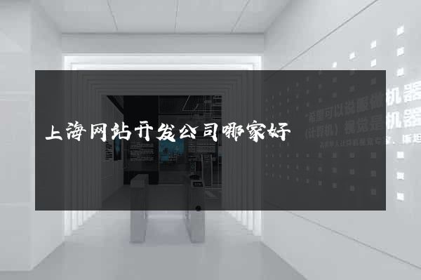 上海网站开发公司哪家好