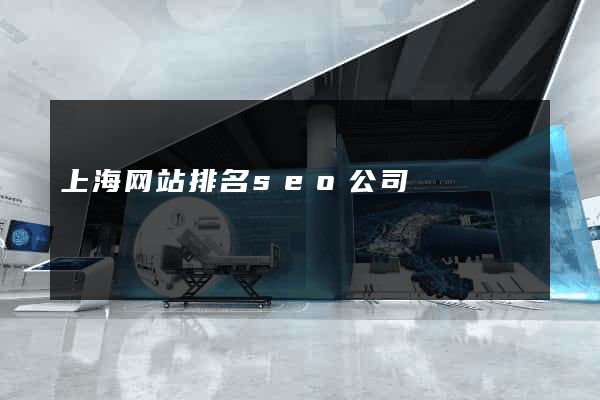 上海网站排名seo公司