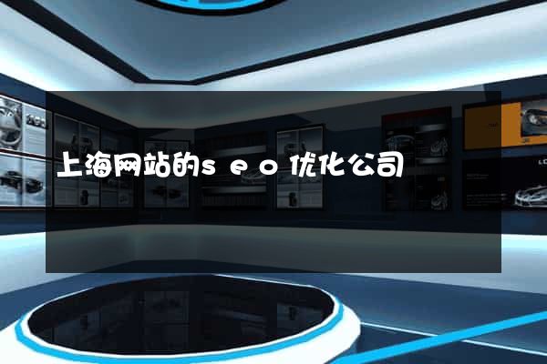 上海网站的seo优化公司