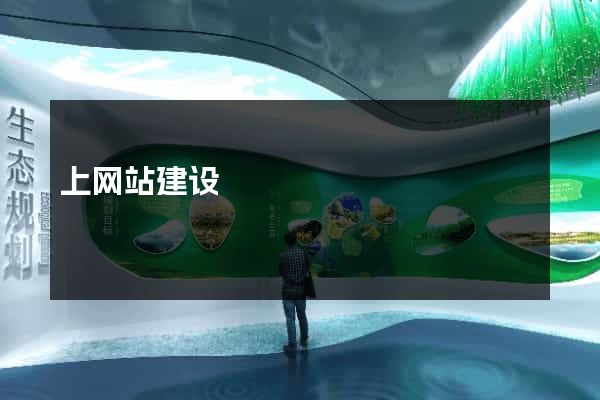 上网站建设