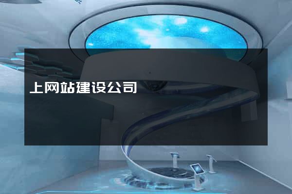 上网站建设公司