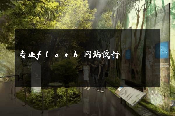 专业flash网站设计