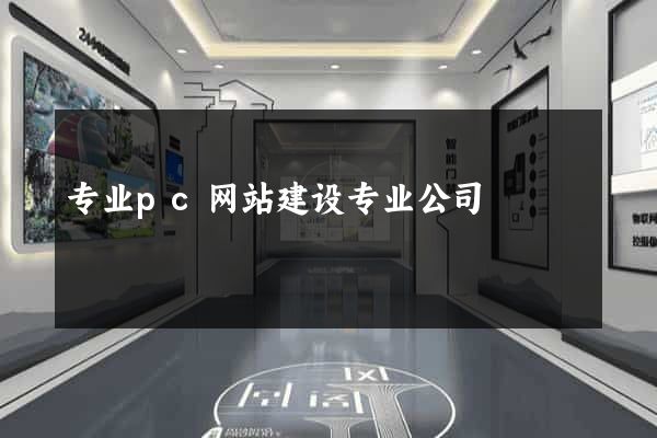 专业pc网站建设专业公司