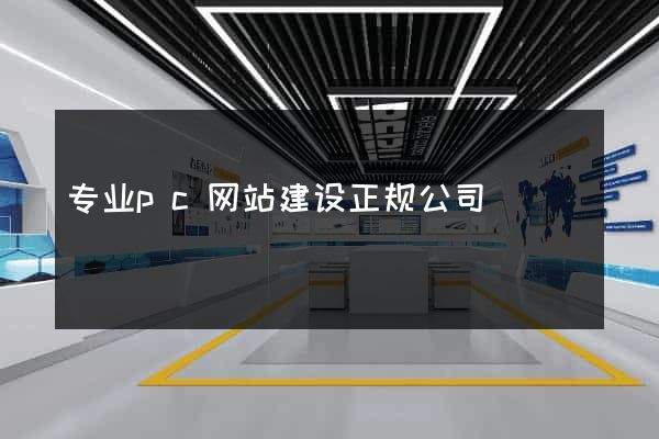 专业pc网站建设正规公司