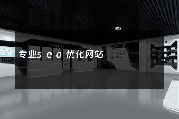 专业seo优化网站