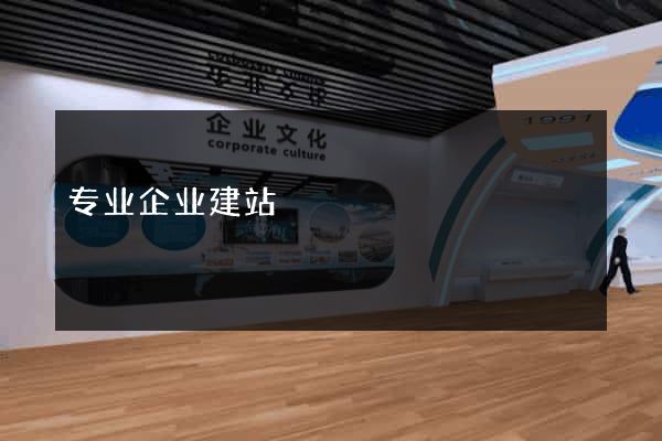 专业企业建站