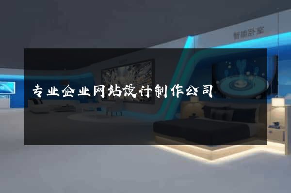 专业企业网站设计制作公司