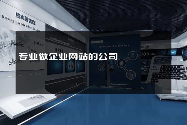 专业做企业网站的公司