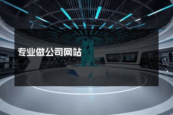 专业做公司网站