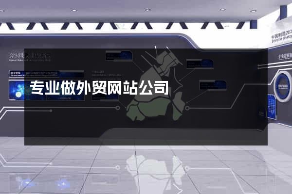专业做外贸网站公司