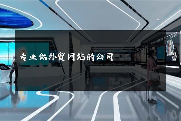 专业做外贸网站的公司