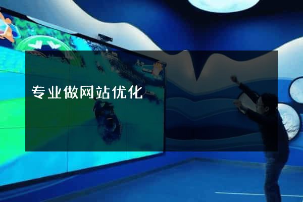 专业做网站优化