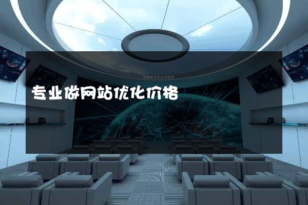 专业做网站优化价格