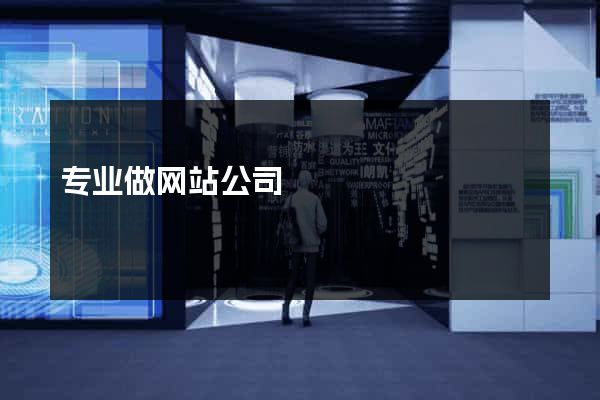 专业做网站公司