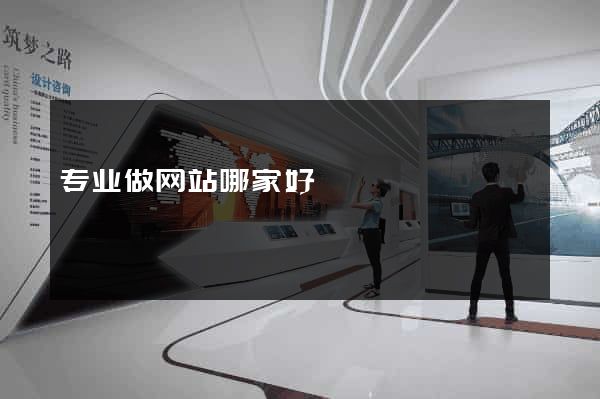 专业做网站哪家好