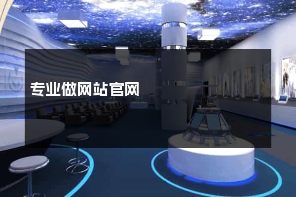 专业做网站官网