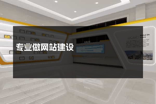 专业做网站建设