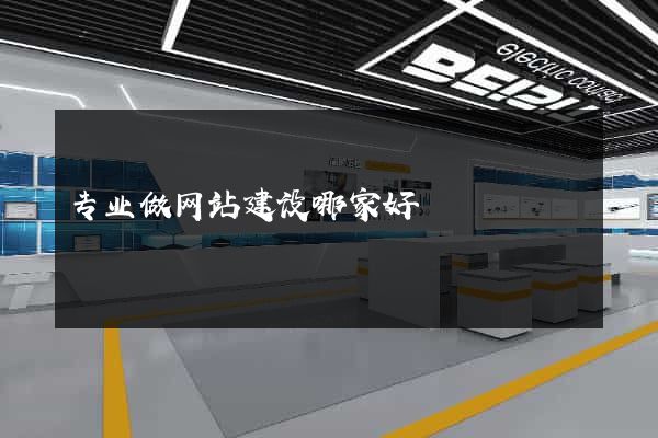 专业做网站建设哪家好
