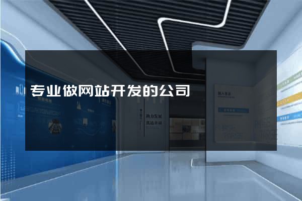 专业做网站开发的公司