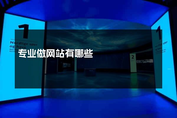 专业做网站有哪些