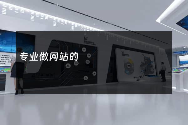 专业做网站的