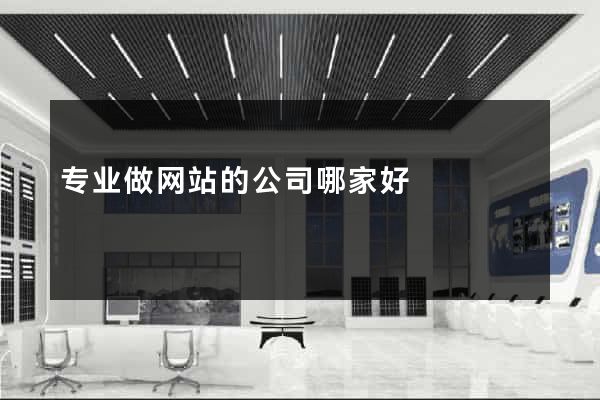 专业做网站的公司哪家好