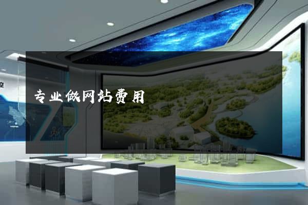 专业做网站费用